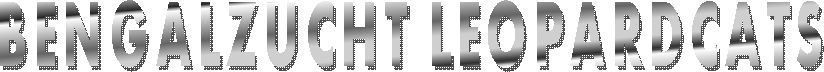 BENGALZUCHT LEOPARDCATS